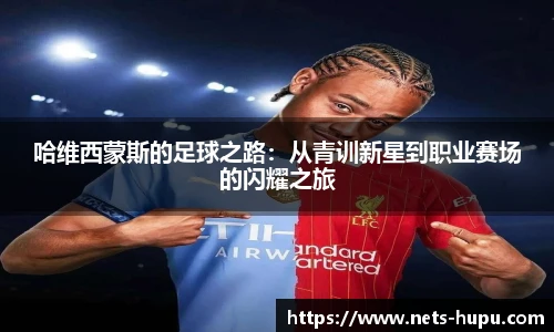 虎扑nba