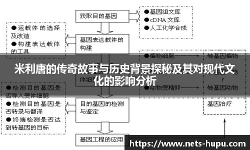 虎扑体育nba
